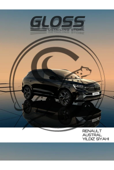 Renault Austral Gne Yıldız Siyah - Çizik Ve Taş Izi Giderici Rötuş Boyası 30ml. ürün görseli 1