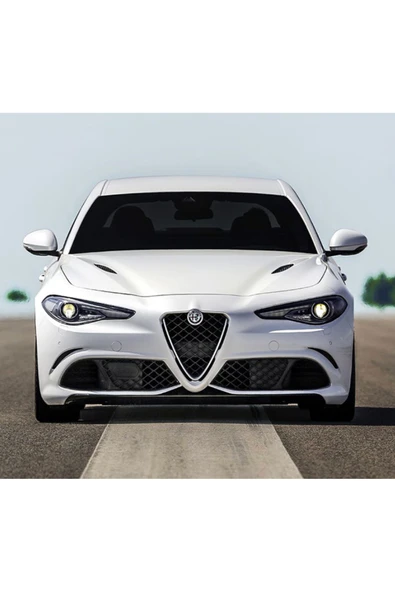 ALFA ROMEO 217 BEYAZ - Orjinal Rötuş boyası 25ml Fırçalı Şişe Seti ürün görseli 1