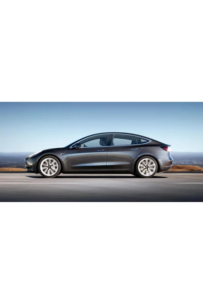 TESLA PMNG Midnight Silver Metalik Rötuş Boyası - 25ml Fırçalı Set ürün görseli 1