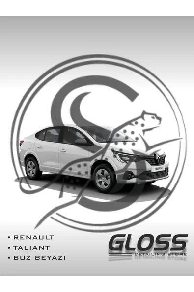 Renault Taliant Buz Beyazı 369 - Profesyonel Çizik Ve Taş İzi Giderici Rötuş Boyası 30ml. ürün görseli 1