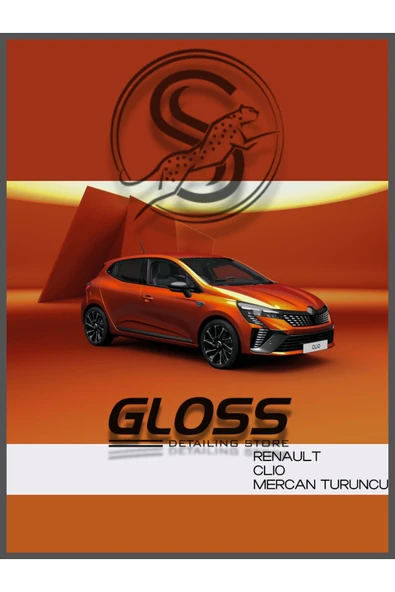Renault Clio Uyumlu Mercan Turuncu EQB - Profesyonel Rötuş Boyası Çift Şişe 20ml/20ml. ürün görseli 1