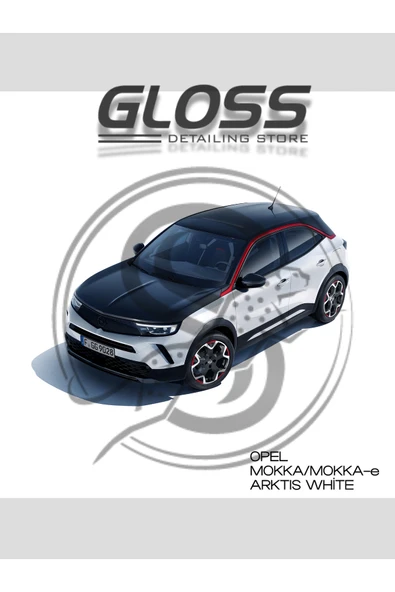 Opel Mokka Arktis (ALP) Beyazı G20 - Profesyonel Çizik Ve Taş izi Giderici Rötuş Boyası 30ml. ürün görseli 1