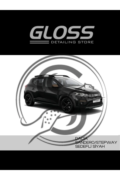 Dacia Sandero/Stepway 676 Sedefli Siyah - Çizik Ve Taş izi Giderici Rötuş Boyası 30ml. ürün görseli 1