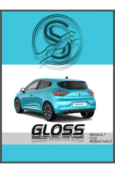 Renault Clio Boğaz Mavisi Rqt - Profesyonel Çizik Ve Taş Izi Giderici Rötuş Boyası 30ml. - Resim 2
