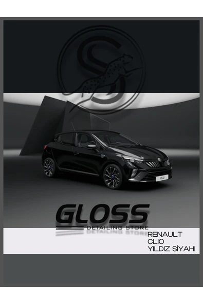 Renault Clio Uyumlu  GNE Yıldız Siyahı - Çizik Ve Taş izi Giderici Rötuş Boyası 30ml. ürün görseli 1