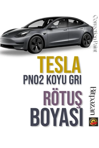 TESLA - LUNAR SİLVER - Ayışığı gümüş PN02 - Çizik Taş İzi Giderici Rötüş Boyası 20ml ürün görseli 1