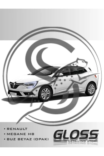 Renault Megane HB Buz Beyaz 369 - Profesyonel Çizik Ve Taş İzi Giderici Rötuş Boyası 30ml. ürün görseli 1