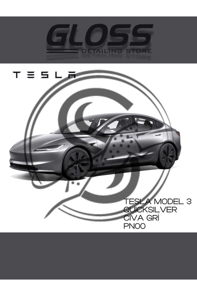 Tesla Model 3 Quicksilver (vCİVA GRİSİv) Pn00 - Profesyonel Rötuş Boyası 30ml. ürün görseli 1