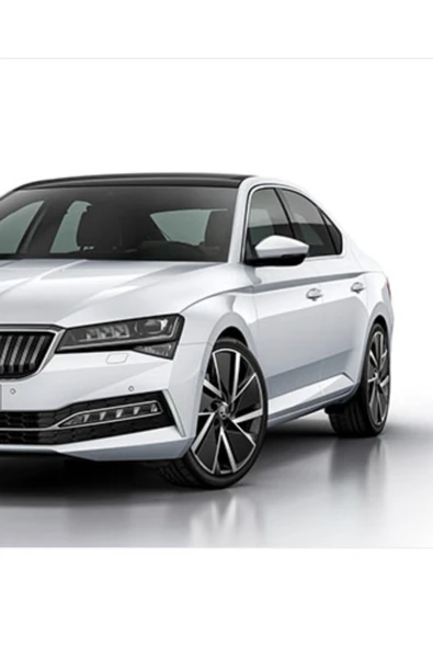 SKODA Fabia, Octavia, Karoq, Kodiaq, Kamiq, Scala - Buzul Metalik Beyaz LS9R - Rötuş Boyası 25ml. ürün görseli 1