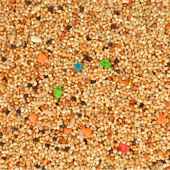 1 kg Karışık Muhabbet Kuşu Yemi ürün görseli 1