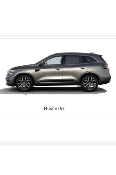 RENAULT Talisman , Capture , KOLEOS Muson Grisi KAD - 25ml Fırçalı şişe ürün görseli 1