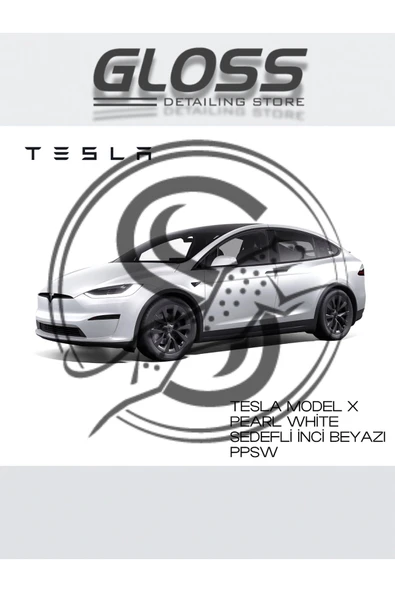 Tesla Model X White Pearl(Sedefli İnci Beyazı)PPSW - Profesyonel Rötuş Boyası Çift Şişe 30/30ml. ürün görseli 1