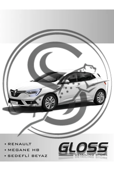 Renault Megane HB Beyaz QNC - Profesyonel Rötuş Boyası 20/20 ml.Çift Şişe ürün görseli 1
