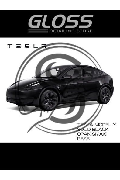 Tesla Model Y Solid Black Pbsb(OPAK SİYAH) - Profesyonel Rötuş Boyası 30ml. ürün görseli 1