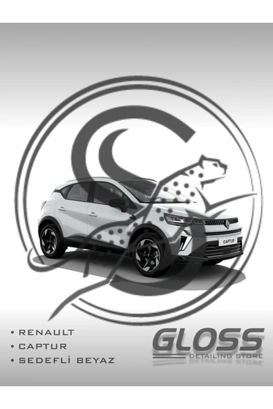 Renault Captur Sedefli Beyaz QNC - Profesyonel Rötuş Boyası Çift Şişe 20/20ml. ürün görseli 1