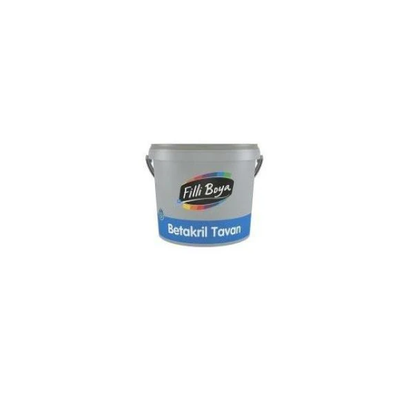 Filli Boya Betakril Tavan 1 Kg ürün görseli 1