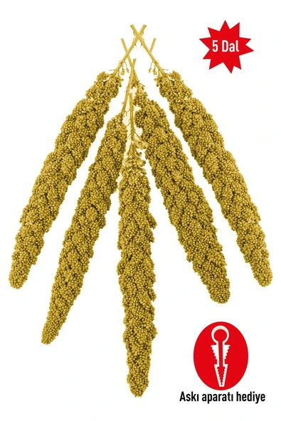 Dal Darı Açık Paket 5 Dal ürün görseli 1