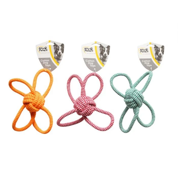 Ally Paws Köpekler Için Diş Ipi 22cm ürün görseli 1