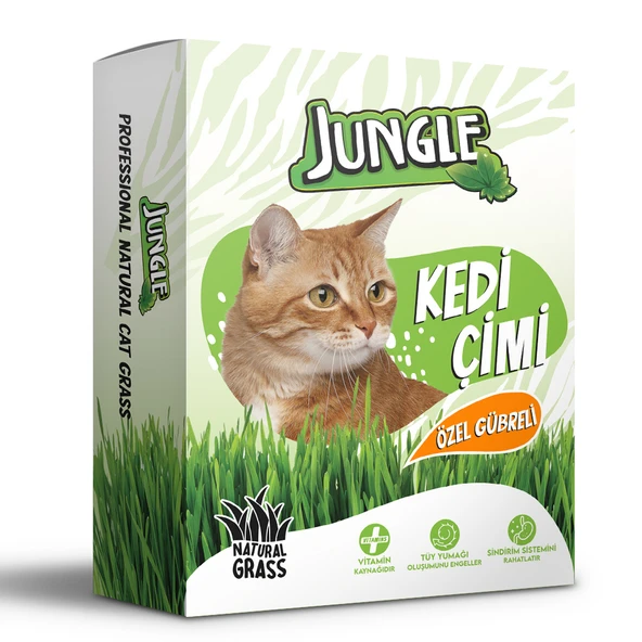 Jungle Kedi Çimi Kutulu ürün görseli 1
