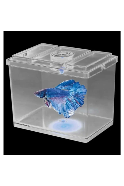 Sobo Mini Betta Kabı ürün görseli 1