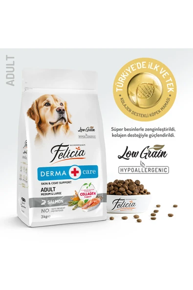 Felicia Medium Large Somonlu Köpek Maması 3 Kg ürün görseli 1