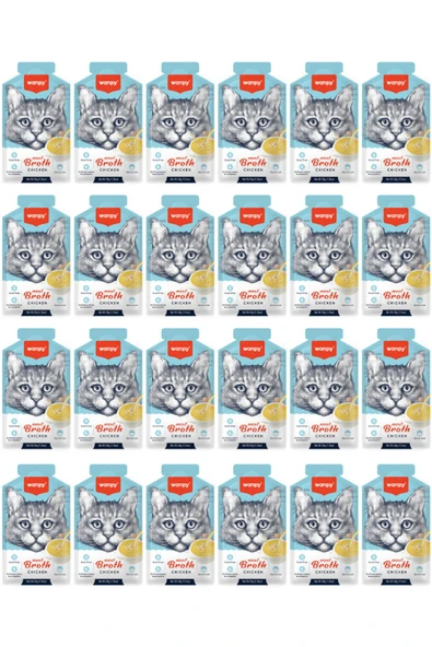Wanpy Tavuklu Kedi Çorbası X 24 ürün görseli 1