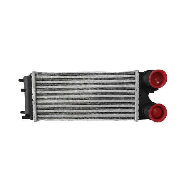 Turbo Radyatör İntercooler Ford Fiesta VI 08-12 B-Max 12=> Courier 14=> FT766K775BA ürün görseli 1