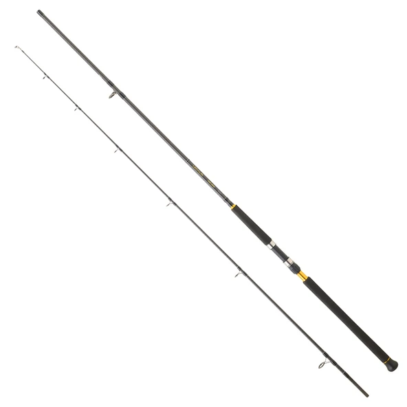 Daiwa Legalis CF 290 cm 28-84 gr Shore Jig Kamış ürün görseli 1