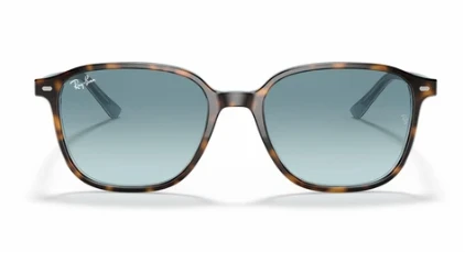 Ray-Ban RB2193 1316/3M 51 Unisex Güneş Gözlüğü ürün görseli 1