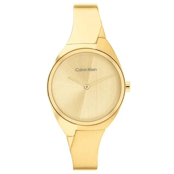 Calvin Klein CK25200235 Kadın Kol Saati ürün görseli 1