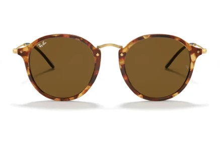 Ray-Ban 2447 1160 Havana Unisex Güneş Gözlüğü ürün görseli 1