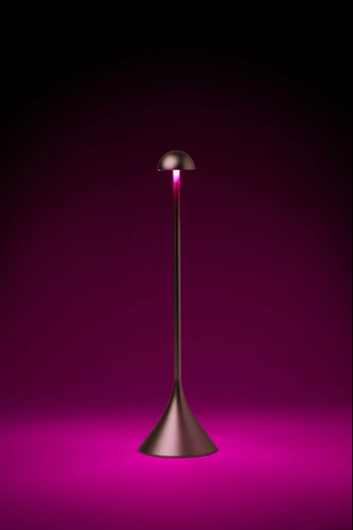 Lexon Steli Dome Led Masa Lambası Dore - Resim 2