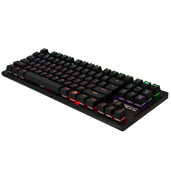 Gamdias Hermes-E2, Usb Kablolu, İngilizce, Rainbow Backlight, Mekanik Switch, Klavye - Resim 2