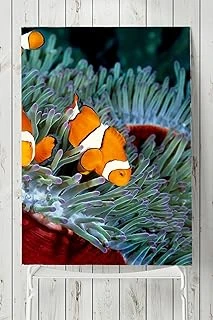 Postermanya (Pster2762) Yeşil Balık Hayvan Posteri (40X60Cm) ürün görseli 1