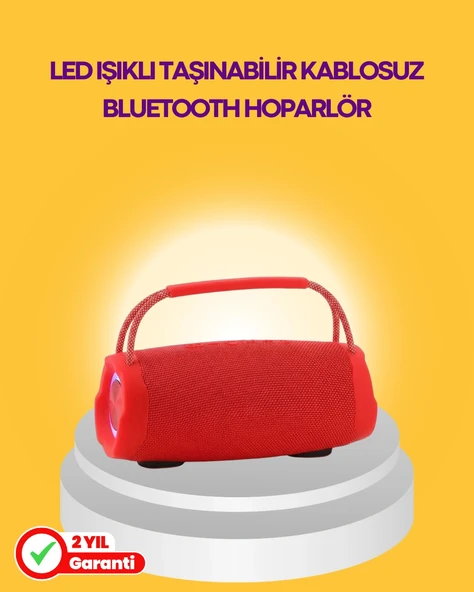 10W Güçlü Stereo Ses Sunan IPX6 Bluetooth Hoparlör ürün görseli 1