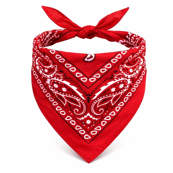 Kırmızı Kovboy Fuları Çocuk Bandana ürün görseli 1