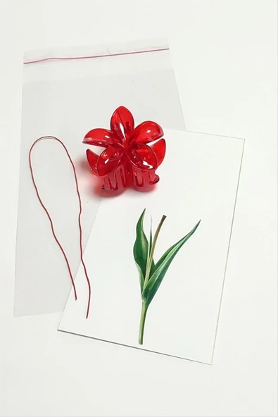 100 Adet Kırmızı Lotus Toka 6 cm Kına Seti ürün görseli 1
