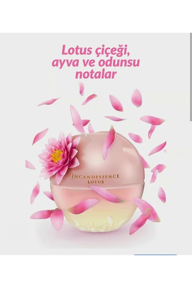 AVON Incandessence Lotus 50 ml Edp - Resim 3