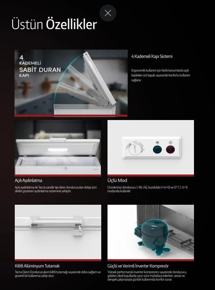 Tecna TYE 2202 Dual Sandık Tipi Derin Dondurucu - Resim 4