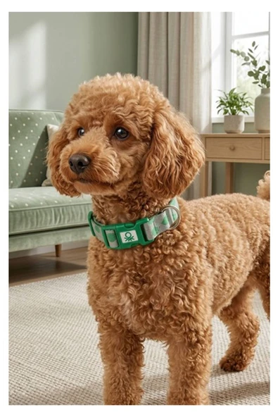 Benetton Tasma Mix (M) ürün görseli 1