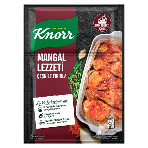 Knorr Fırında Tavuk Çeşnisi Mangal Lezzeti 29 G (8'li Paket) ürün görseli 1
