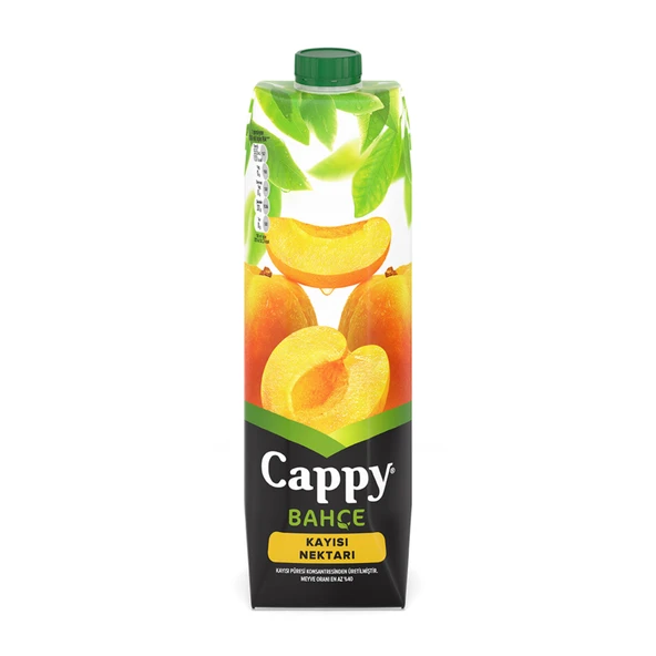Cappy Kayısı Nektarı Karton Kutu 1 L (6'li Paket) ürün görseli 1