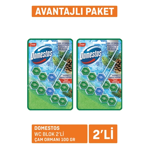 Domestos Wc Blok 2'li Çam Ferahlığı 2x100 G (6'li Paket) ürün görseli 1