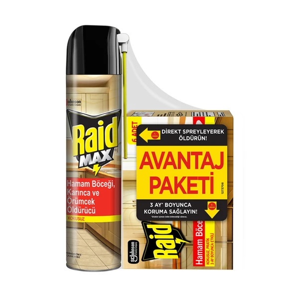 Raid Böcek Yemi & Böcek Aerosol Promo Paket 273 G (3'li Paket) ürün görseli 1