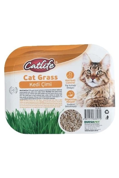 Catlife Kedi Çimi ürün görseli 1