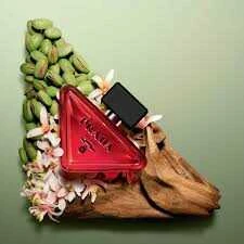 Prada Paradoxe Radical Essence Parfum 90 ml ürün görseli 1