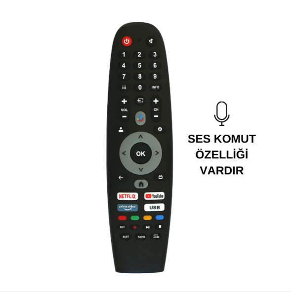 Dijitsu 65DG22000 4K Google TV Uyumlu Ses Komutlu Akıllı TV Kumandası ürün görseli 1