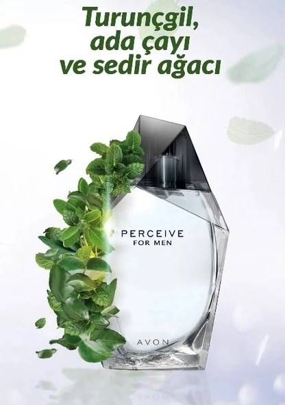 AVON PERCEİVE ERKEK PARFÜM EDT 100 ML - Resim 2