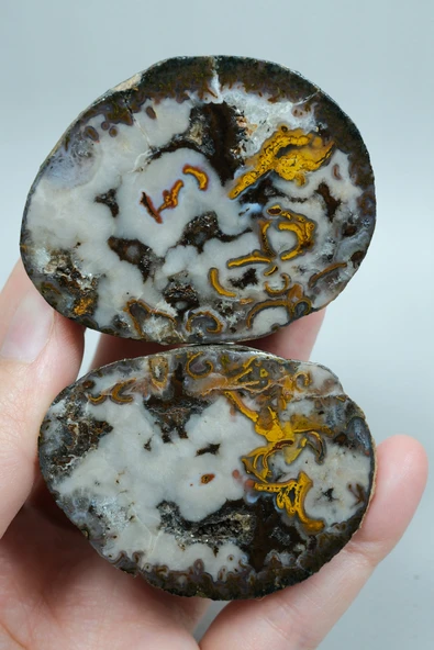 Plume Black Sea Agate • Beyaz, Derin Kahverengi ve Altın Turuncu Agate ürün görseli 1