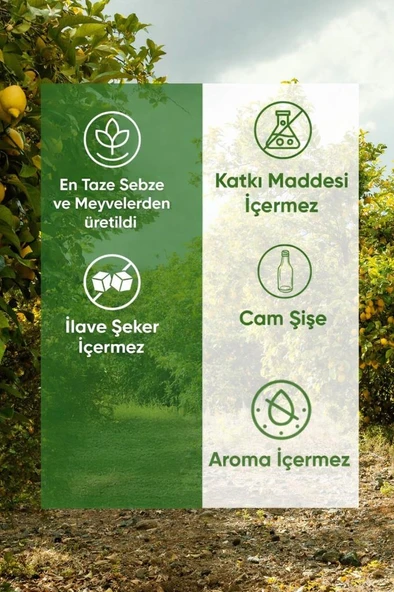 Energy Smoothie 250ml (Meyve-Sebze Suyu/Püresi) ürün görseli 1